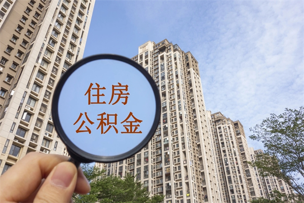 柳州公积金新政今起实施（柳州公积金新政出台）